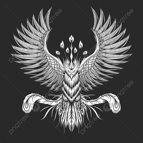 Phoenix Bird Vector Art PNG, Phoenix Bird Vector Illustration, Air ...