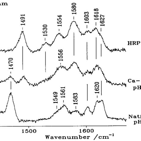 High Frequency Resonance Raman Spectra Of Ferrous HRPC Native Protein