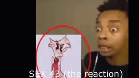 Sex43 Funny As Hell Sex43 Sex 43 Discover Share GIFs
