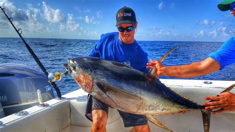 Fall Yellowfin Tuna Fishing In Venice Louisiana Is Unreal Tuna