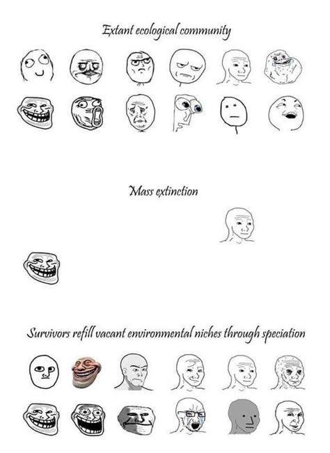 Meme ecology | Rage Comics | Know Your Meme