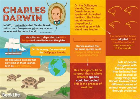 Free Charles Darwin Poster | BookLife