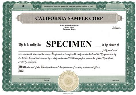 Corporate Stock Certificate Template