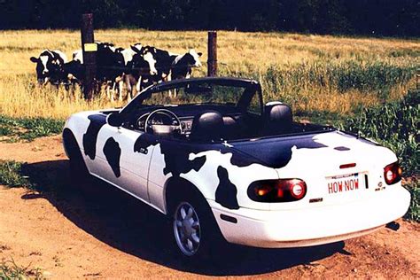 The Cow Car