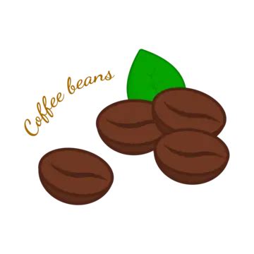 Cute Realistic Coffee Beans Vector Illustration Coffee Coffee Beans