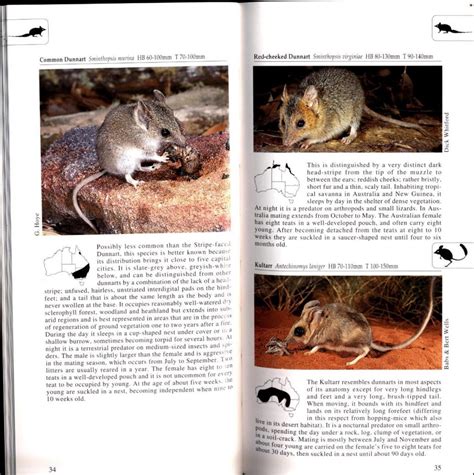 A Photographic Guide To Mammals Of Australia Nokomis