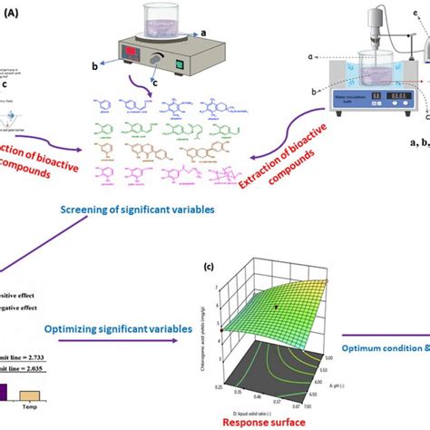 Graphical presentation of this review showing the (A) extraction, (B-C ...