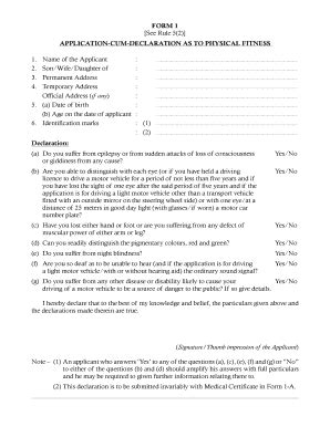 Fillable Online Form Application Cum Declaration As To Physical