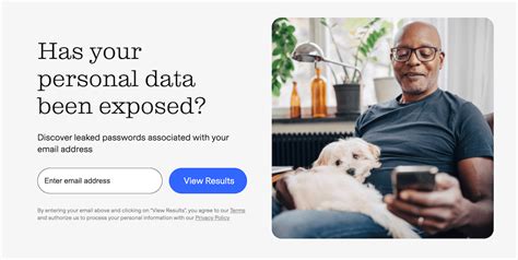 Is My Email on the Dark Web? How To Tell & What To Do
