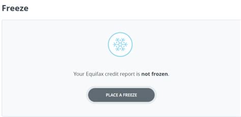 Freezing Your Credit Report Before A Capital One Application