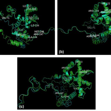 Protein Structure Alignment Using Pymol Modeling Via I Tasser A