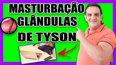 Gl Ndulas De Tyson Ser Que Masturba O Causa Gl Ndulas De Tyson Como