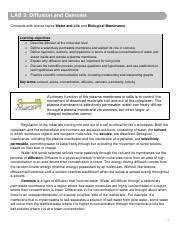 Lab Diffusion And Osmosis Pdf Lab Diffusion And Osmosis