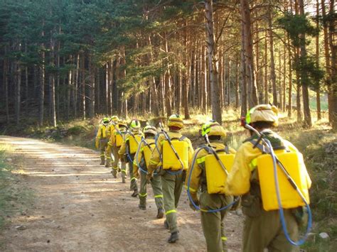 Las Brigadas Forestales Luchan Cada Año Para Detectar Y Apagar Los