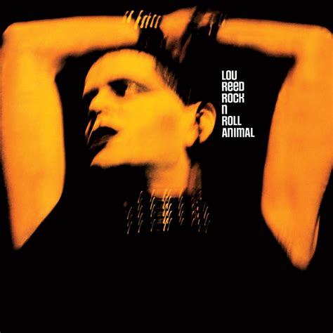 Lou Reed S Essential Albums