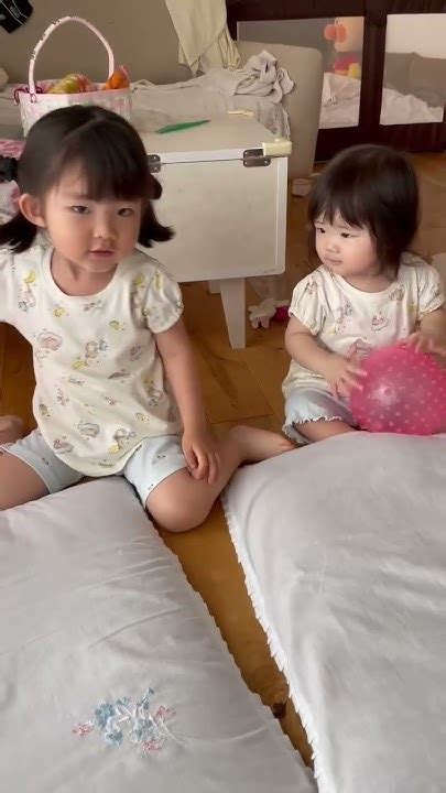 ちびポヨ 2歳11ヶ月 まめポヨ 1歳0ヶ月 〕ボール遊びをする ちびポヨ・まめポヨ Youtube