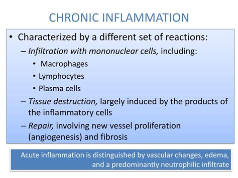 Ppt Inflammation And Repair Lecture Chronic Inflammation Systemic