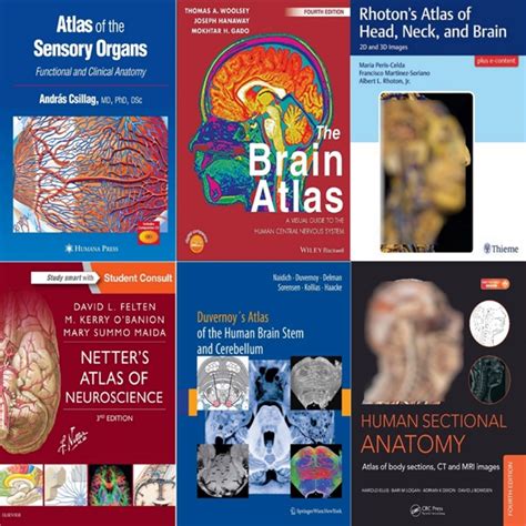 Атласы по нейроанатомии. Часть 2. 1. Duvernoy's Atlas of the Human ...