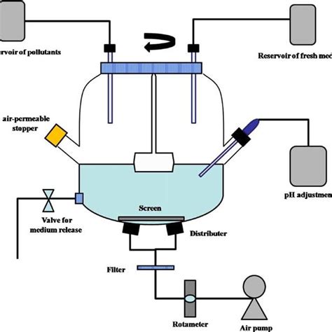 The Schematic Diagram Of The Bioreactor Setup Download Scientific