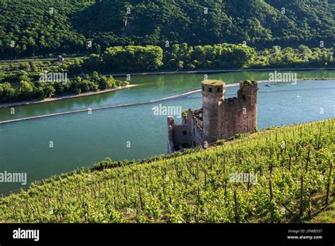 Germany Hesse Rheingau Rüdesheim Assmannshausen Ehrenfels castle