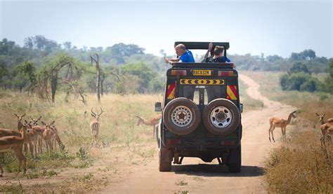 Trip To Akagera National Park Eco Adventure Safaris