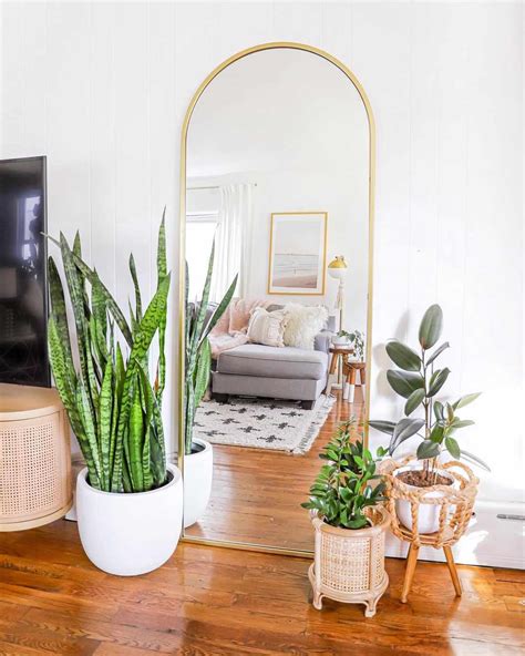 11 Best Large Indoor Plants To Add To Your Home