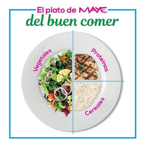 ¿cómo Debe De Ser El Plato Del Buen Comer Plato Del Buen Comer