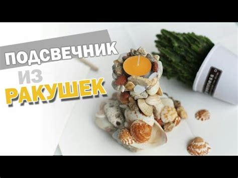 Подсвечник из ракушек - YouTube