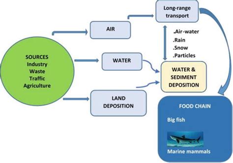 Type Sources Methods And Treatment Of Organic Pollutants In