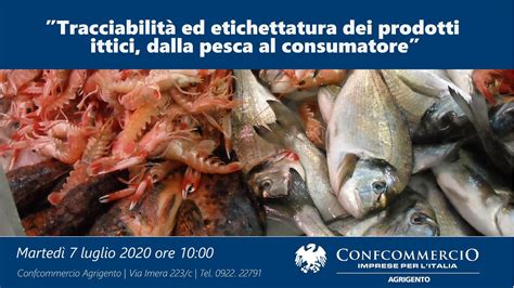 Tracciabilità ed etichettatura dei prodotti ittici dalla pesca al