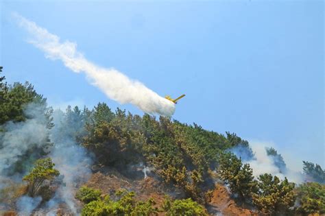 Biob O Es Segunda A Nivel Nacional En Intencionalidad De Incendios