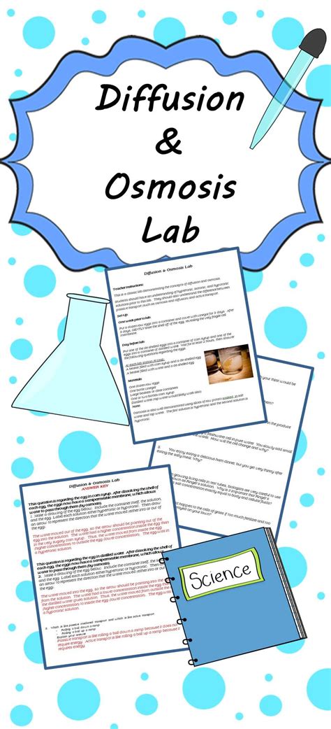 Diffusion And Osmosis Lab Osmosis Egg Lab Experiment Tonicity Lab