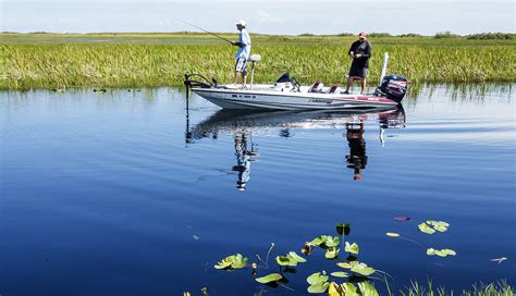 Gu A Para Visitar El Parque Nacional De Los Everglades