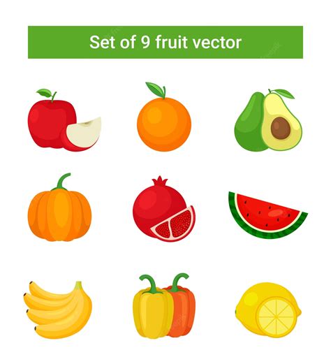 Conjunto De 9 Vectores De Frutas Diferentes Vectores De Frutas De