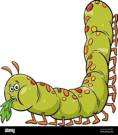 Cartoon illustration of caterpillar insect animal character Stock ...