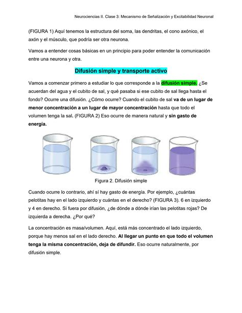 Solution Neurociancias Ii Clase Mecanismos De Se Alizaci N Neuronal