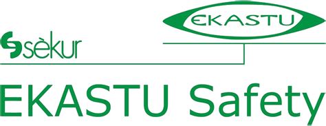 Ekastu Full Face Mask C 607 Selecta Class 2 Full Masks Head