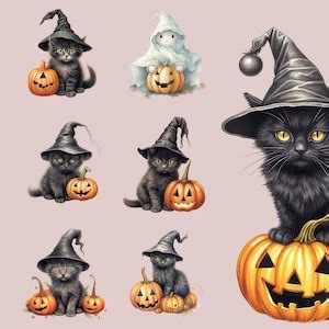 Cute Black Cat And Pumpkins Clipart Watercolor Halloween Png Etsy