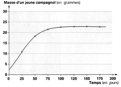 Commenter Un Graphique Les Cours De Max