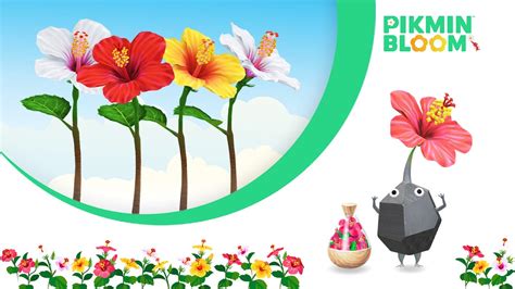 Pikmin Bloom Detalla Sus Planes Para El Pr Ximo Mes De Agosto Nintenderos