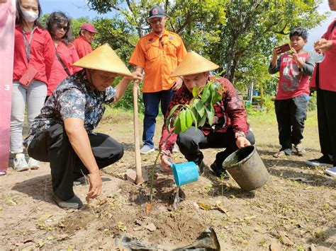 Begini Cara Dpc Pdip Kota Yogyakarta Ajak Warga Manfaat Lahan Jpnn