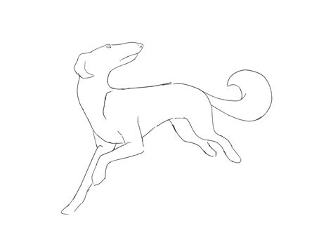 Borzoi Sketch By Artbitesbuffet On Deviantart