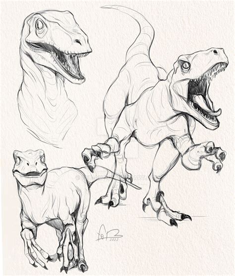 Velociraptor sketches by feb-art on DeviantArt