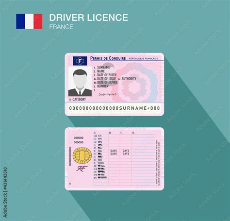 French Car Driver License Identification Flat Vector Illustration