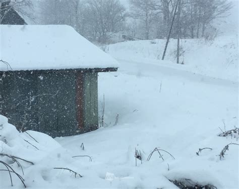 【北海道】広範囲で湿った雪、足元には一層の注意を ウェザーニュース