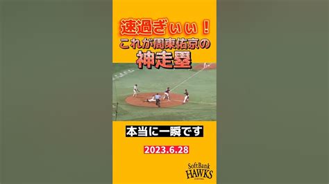 速過ぎぃぃ！これが周東佑京の神走塁 Shorts 周東佑京 福岡ソフトバンクホークス Sbhawks 侍ジャパン Youtube