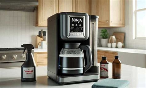 How To Clean Ninja Cup Coffee Maker Homely Halo