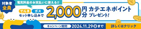 2人暮らしの生活費の平均は？節約術・シミュレーションも紹介！ コツコツcd 株式会社cdエナジーダイレクト