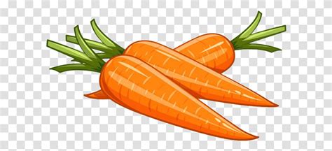 Detail Clipart Of A Carrot Koleksi Nomer