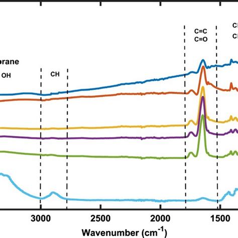 Ftir Spectra Of Cellulose Membrane And Cellulosego Hybrid Membrane